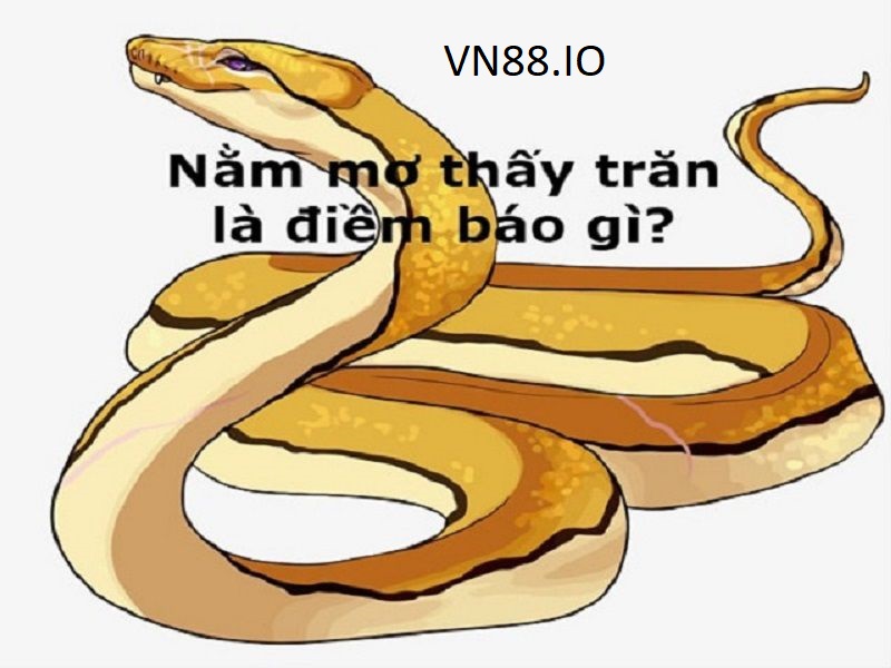 giai ma giac mo thay tran vn88 io