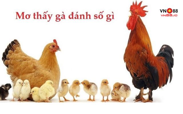 Đánh con gì khi mơ thấy gà mái