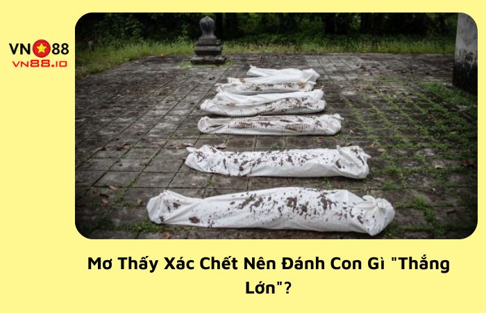 Mơ Thấy Xác Chết