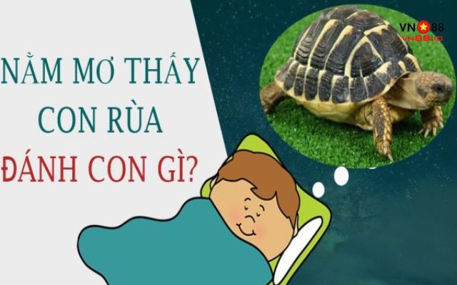 Phụ nữ đang mang thai nằm mơ thấy rùa có tốt không.